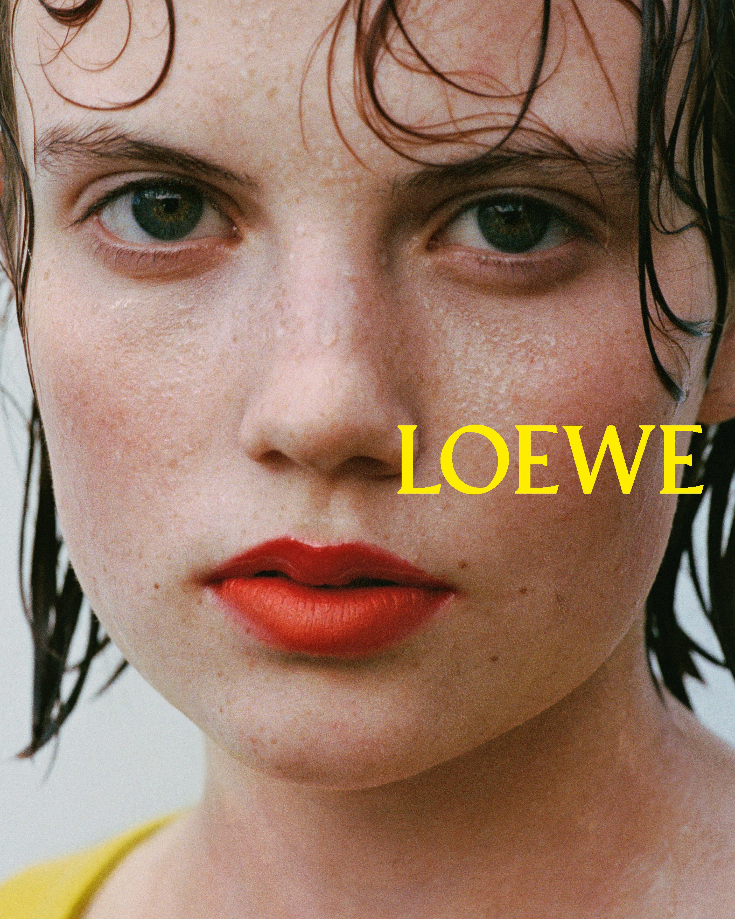 loewe loewe